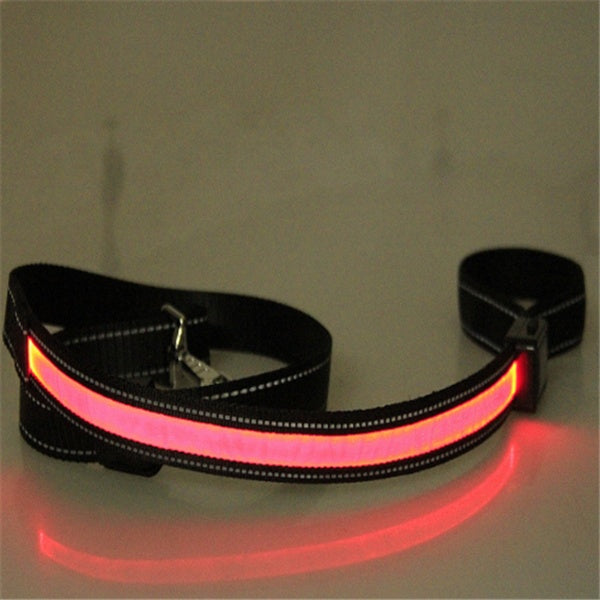 Collar fluorescente y LED para perros.
