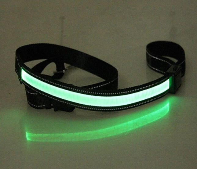 Collar fluorescente y LED para perros.
