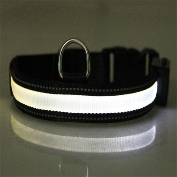 Collar fluorescente y LED para perros.