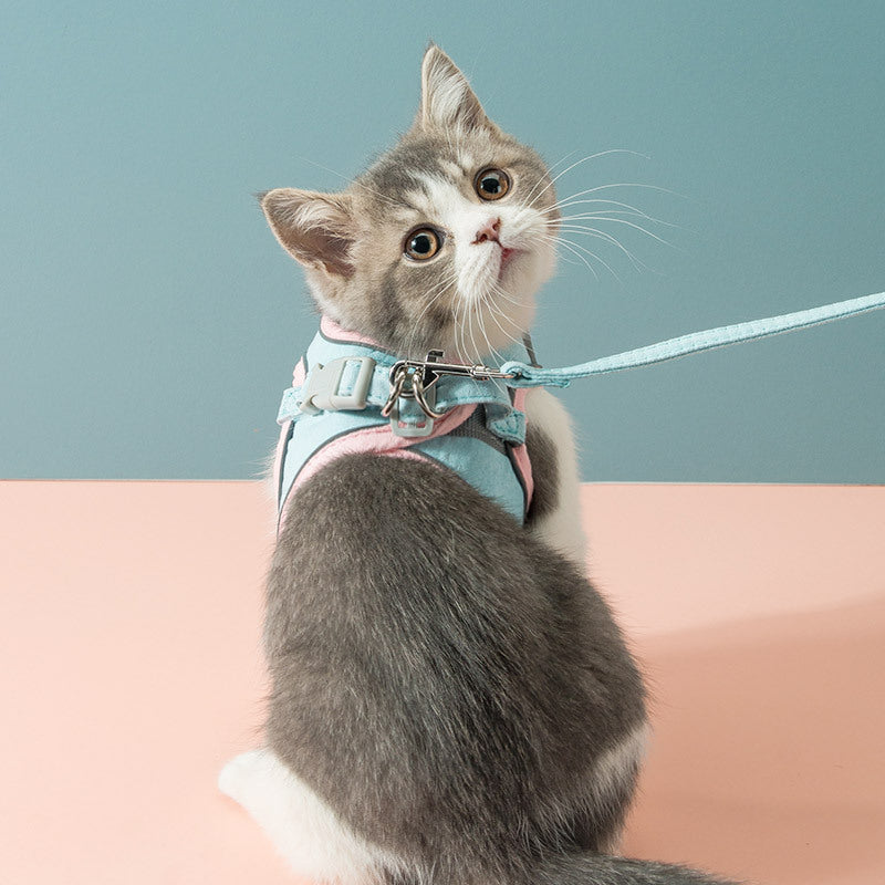 Correa de pecho con cuerda de tracción para gatos para evitar que se suelten. Correa para gatos.