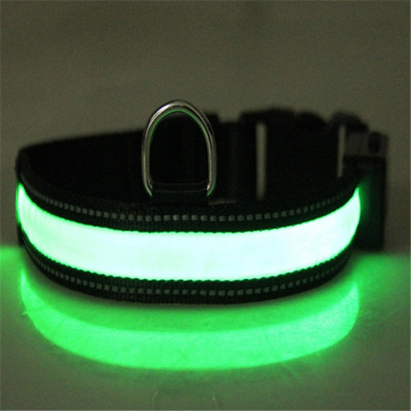 Collar fluorescente y LED para perros.