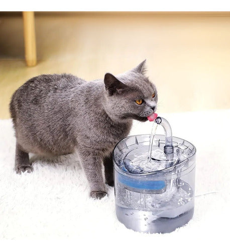 Bebedero Mascotas Automático Perros Gatos Recirculante 1.8lt