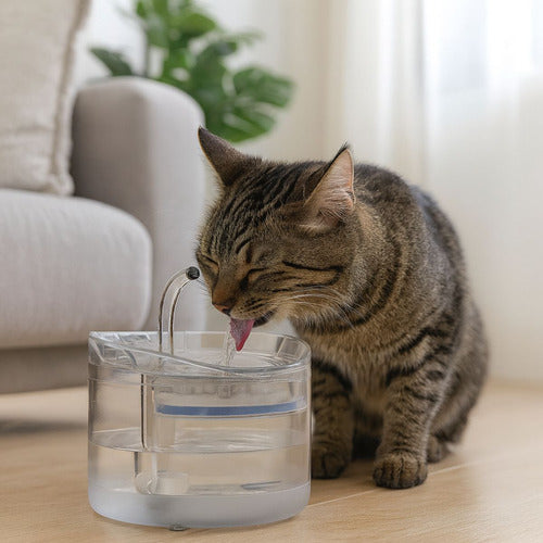 Bebedero Mascotas Automático Perros Gatos Recirculante 1.8lt