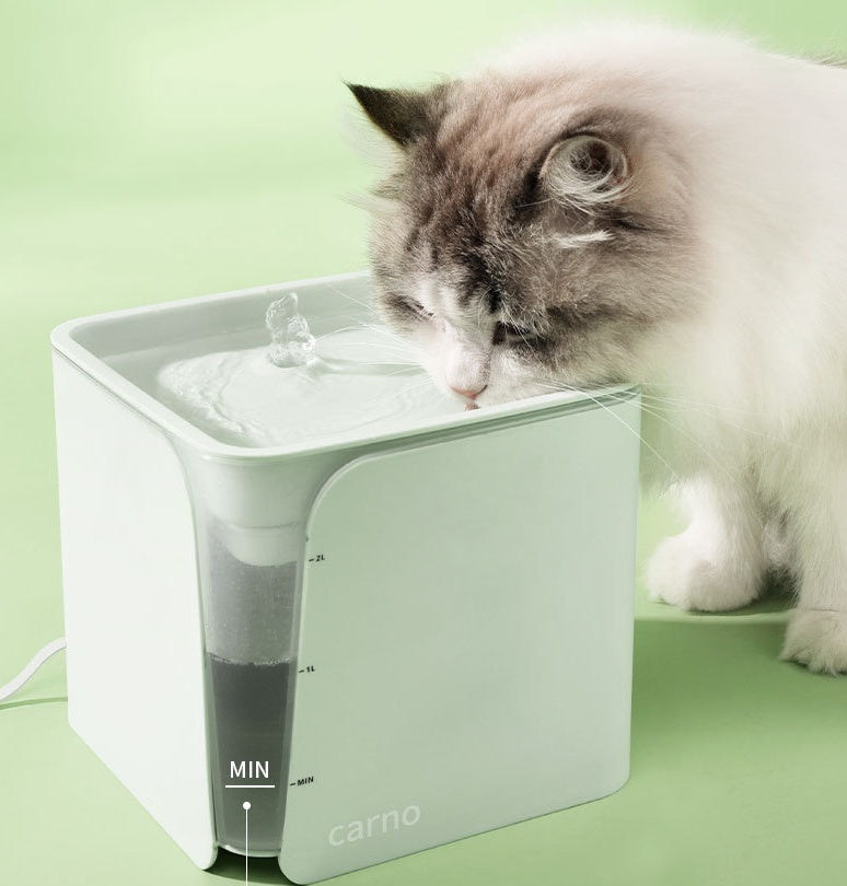 Dispensador automático de agua circulante para gatos.