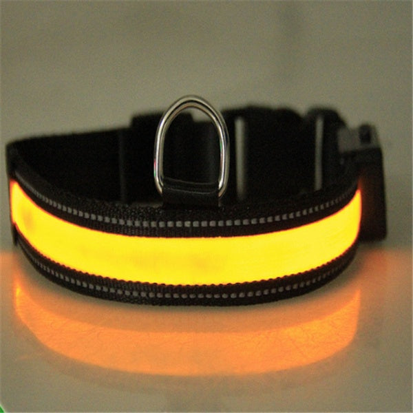 Collar fluorescente y LED para perros.