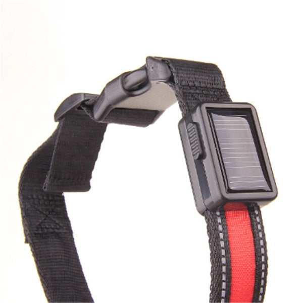 Collar fluorescente y LED para perros.