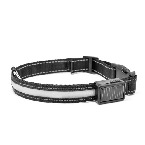 Collar fluorescente y LED para perros.