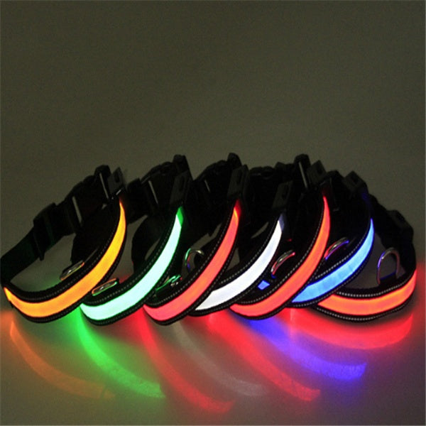 Collar fluorescente y LED para perros.
