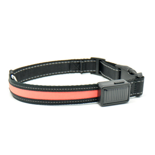Collar fluorescente y LED para perros.