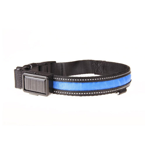 Collar fluorescente y LED para perros.