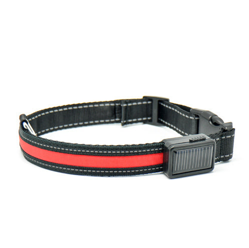 Collar fluorescente y LED para perros.