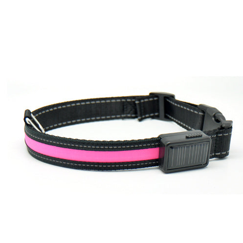 Collar fluorescente y LED para perros.