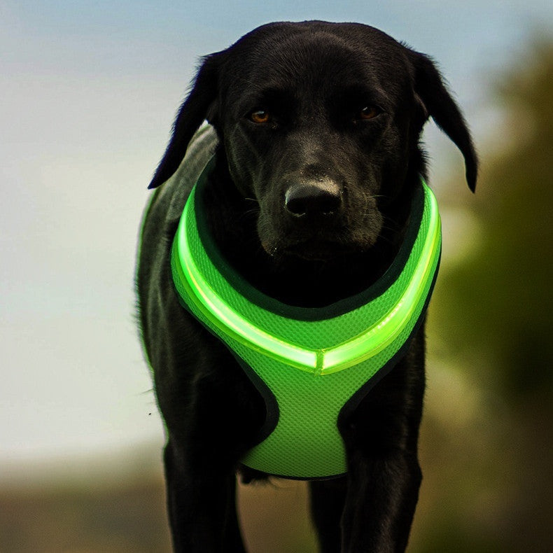 Arnés luminoso LED para perros con carga USB, correa para el pecho, chaleco reflectante de seguridad para mascotas, para cachorros, perros grandes, productos para mascotas.