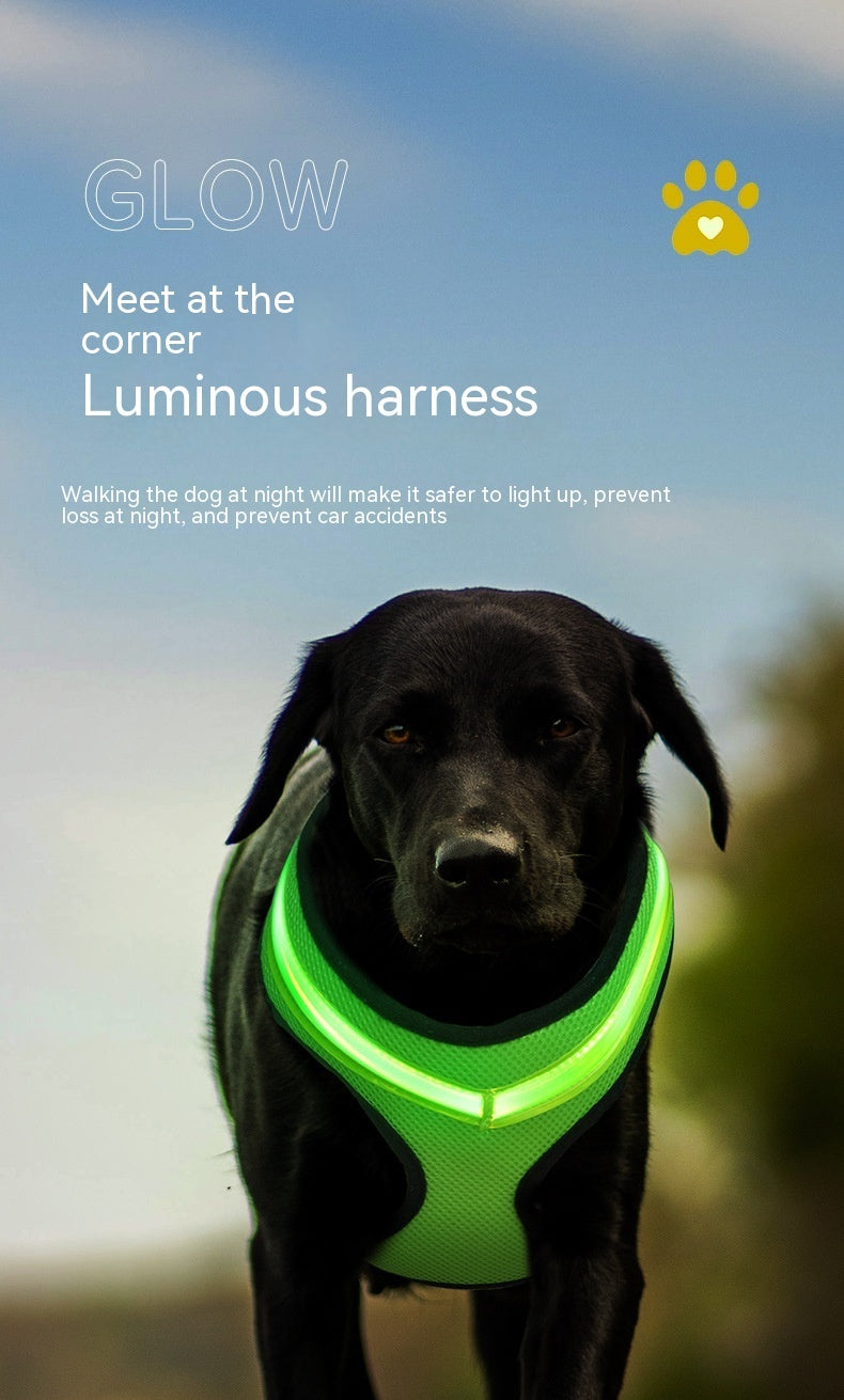 Arnés luminoso LED para perros con carga USB, correa para el pecho, chaleco reflectante de seguridad para mascotas, para cachorros, perros grandes, productos para mascotas.