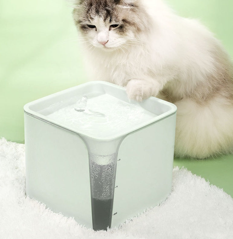 Dispensador automático de agua circulante para gatos.