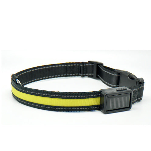 Collar fluorescente y LED para perros.