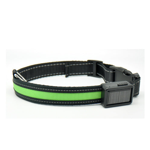 Collar fluorescente y LED para perros.