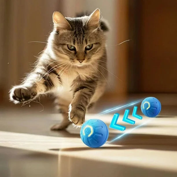 Pelota Interactiva para PERROS Y GATOS