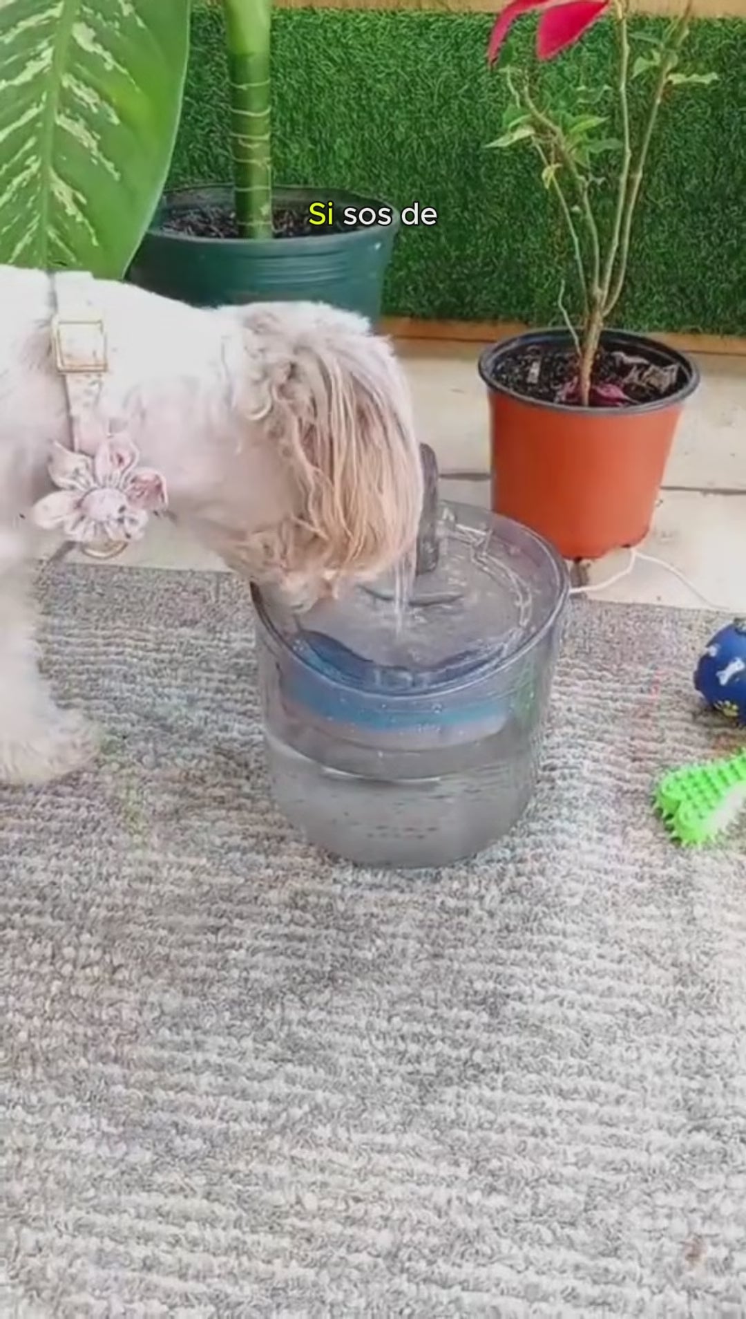 Bebedero Mascotas Automático Perros Gatos Recirculante 1.8lt
